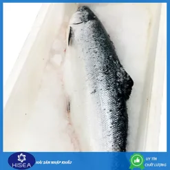 Whole Norwegian salmon (Size: 6-8 kg/fish)-1 kg