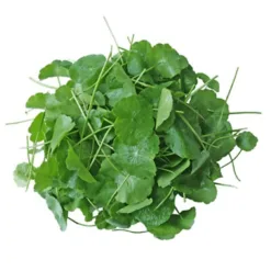 ORGANIC GOTU KOLA 300G