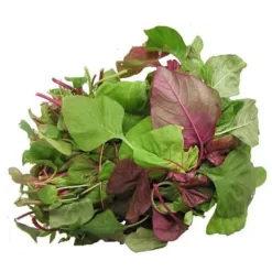 Organic Amaranth 250g