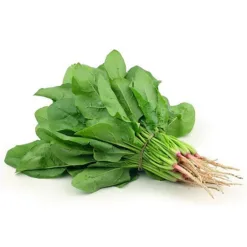 Organic Spinach - 500g